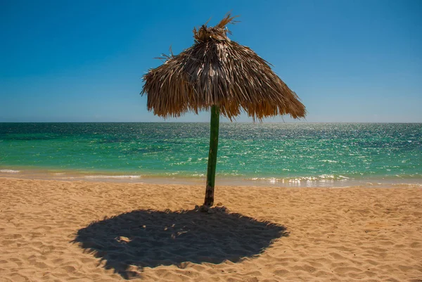 Guarda-chuva fica na praia. Cuba. Trinidad. Praia de Ancona. Mar das Caraíbas . — Fotografia de Stock
