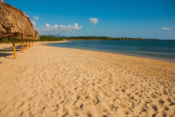 Arena amarilla y sombrillas en la hermosa playa. Cienfuegos, Cuba, Playa Rancho Luna . — Foto de Stock