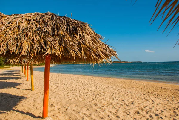 黄色的沙子和雨伞在美丽的海滩上。西恩富戈斯, 古巴, 牧场月滩. — 图库照片