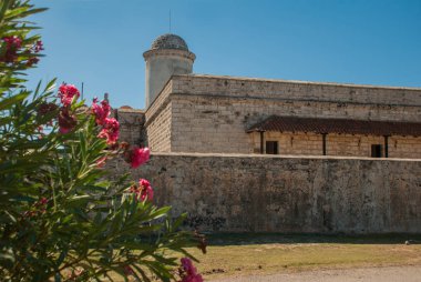 Eski kale Fortaleza de Jagua arka plan üzerinde kırmızı çiçekler. Castillo de Jaguar. Küba, Cienfuegos.