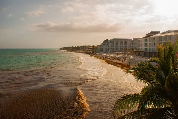 卡门海滩, 墨西哥展示豪华度假村和蓝色绿松石沙滩在日出期间 — 图库照片