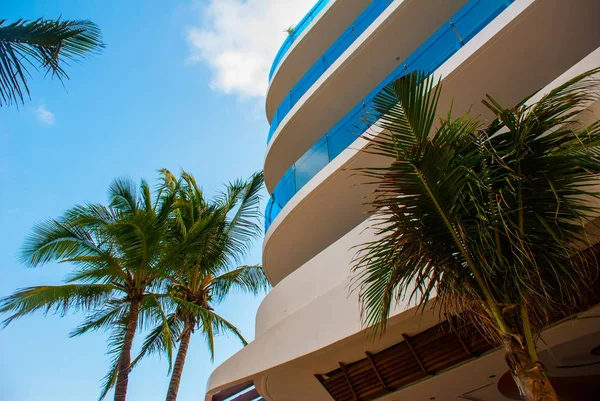Плайя дель Кармен Мексика, Рів'єра-Майя: фасади готелів і кокосової пальми проти синього неба — стокове фото