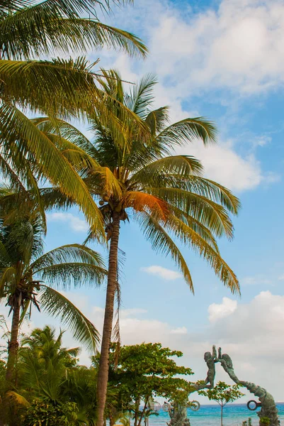 Playa del Carmen, Riviera Maya, México: Coqueiros altos contra o céu. Portal Maya, portões maias na entrada da praia — Fotografia de Stock