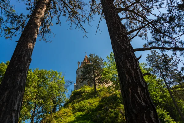 Castelo de Drakula, na Romênia. Bela paisagem com um castelo de farelo com um dia de verão — Fotografia de Stock