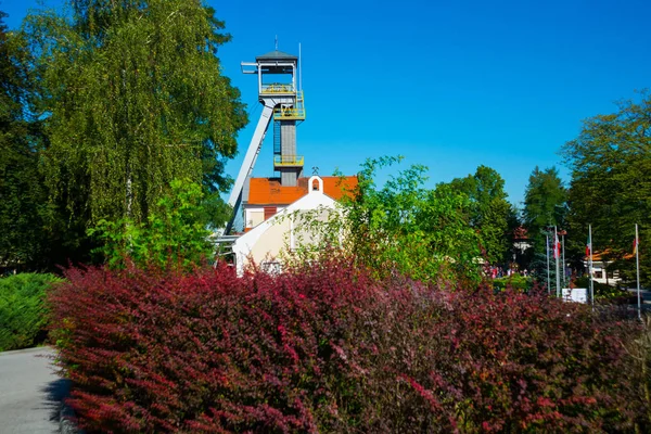 Wieliczka, Polonia: miniera di sale di Wieliczka - albero di Regis . — Foto Stock