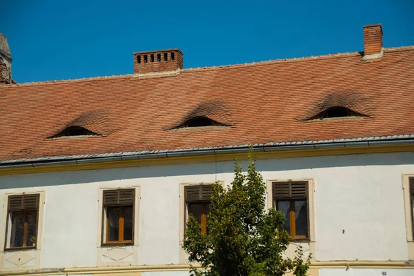 Sibiu, Romanya: Gözleri ve çatısı olan sözde ev. Sokaktaki geleneksel çok renkli evlerin çatılarında sıra dışı Dormer pencereleri var.