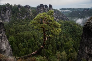 Bastei, Ulusal Park Sakson İsviçre, Almanya 'nın bakış açısından.