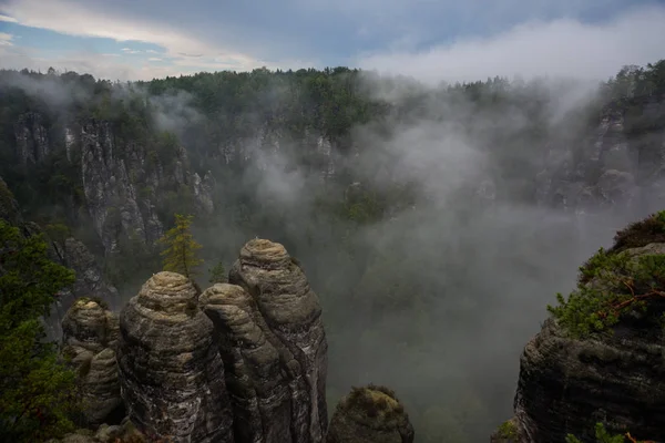 National park Saxon Switzerland, Germany: View from view of Bastei — стокове фото