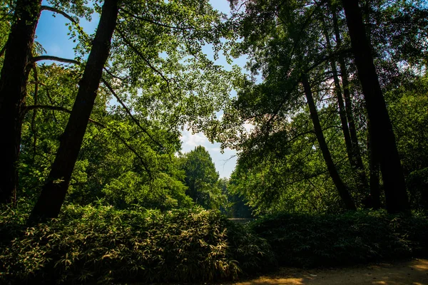 Το όμορφο Tiergarten στο Βερολίνο, Γερμανία. Άποψη του τοπίου καλοκαίρι — Φωτογραφία Αρχείου