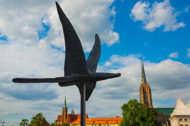 Wroclaw, Polonya: Wroclaw Katedrali. Aziz Vaftizci Yahya Katedrali. Alışılmadık kuş heykeli.