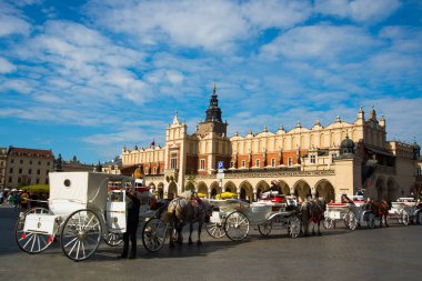 Krakow, Polonya: Polonya 'da bir yaz günü Krakow' da ana meydanda at arabaları
