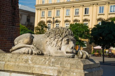 Krakow, Polonya: Aslan Anıtı. Old Town 'daki ana pazar meydanındaki belediye binası kulesi..