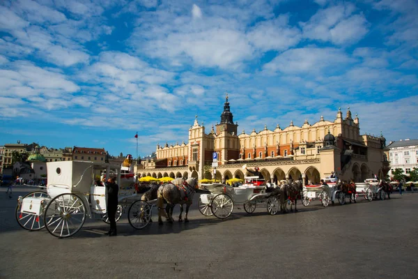 Krakow, Poland: Horse carriages at main square in Krakow in a summer day, Poland — Stock Photo, Image