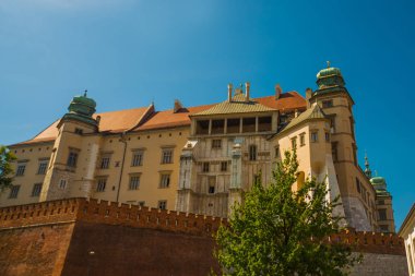 Krakow, Polonya: Polonya 'nın başkenti Krakow' da güneşli bir yaz gününde ünlü eski Wawel Kraliyet Kalesi kompleksi ile güzel bir manzara