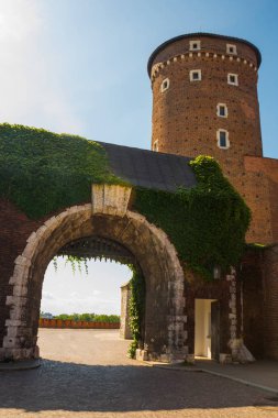 Krakow, Polonya: Polonya 'nın başkenti Krakow' da güneşli bir yaz gününde ünlü eski Wawel Kraliyet Kalesi kompleksi ile güzel bir manzara