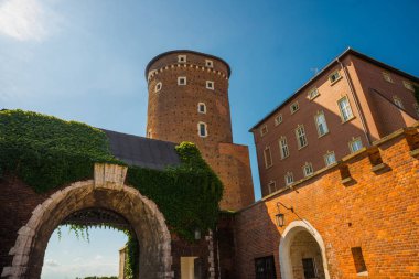Krakow, Polonya: Polonya 'nın başkenti Krakow' da güneşli bir yaz gününde ünlü eski Wawel Kraliyet Kalesi kompleksi ile güzel bir manzara