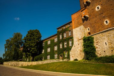 Krakow, Polonya: Polonya 'nın başkenti Krakow' da güneşli bir yaz gününde ünlü eski Wawel Kraliyet Kalesi kompleksi ile güzel bir manzara