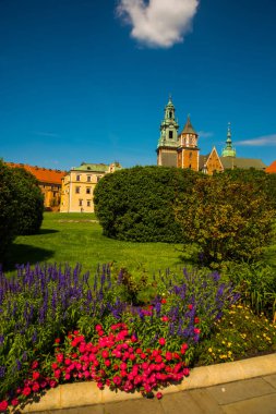 Güzel gezi Wawel Royal Castle ve renkli çiçeklerle, Krakow, Polonya