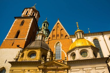 Krakow, Polonya: Aziz Stanislaus ve Wenceslas Katedrali, Wawel Kraliyet Kalesi, Krakow, Polonya