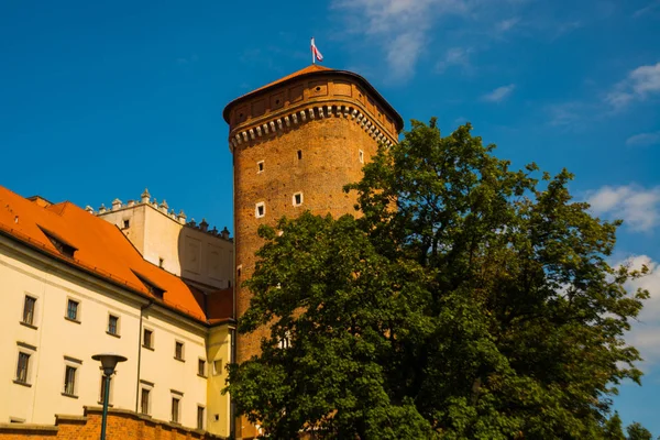 Krakov, Polsko: Krásná krajina se známým starým komplexem královského hradu Wawel za slunečného letního dne v polském Krakově — Stock fotografie