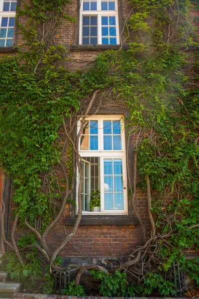 KRAKOW, POLONIA: La finestra sulle foglie e sui rami verdi, complesso del Castello Reale di Wawel, Cracovia, Polonia — Foto Stock