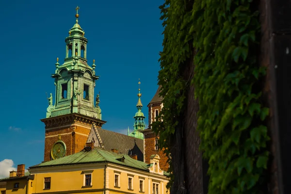 Krakau, Polen: viele Touristen besuchen den berühmten historischen Komplex der königlichen Burg und Kathedrale Wawel in Krakau — Stockfoto