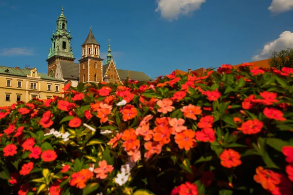Piękne, Zwiedzanie Zamku Królewskiego na Wawelu i kolorowe kwiaty w Kraków, Polska — Zdjęcie stockowe