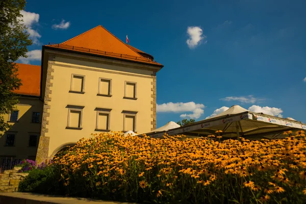 KRAKOW, POLÓNIA: Bela paisagem com o famoso complexo antigo de Wawel Royal Castle em um dia ensolarado de verão em Cracóvia, Polônia — Fotografia de Stock