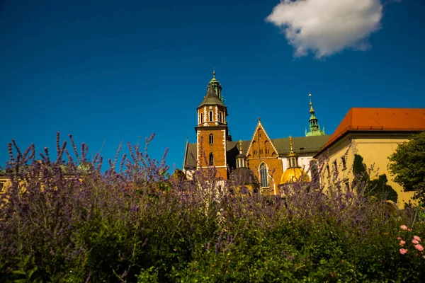 Hermoso turismo con el Castillo Real de Wawel y coloridas flores en Cracovia, Polonia — Foto de Stock
