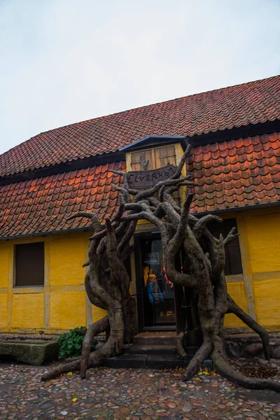 Odense, Denmark: Unusual entrance from the table and tree branches — ストック写真