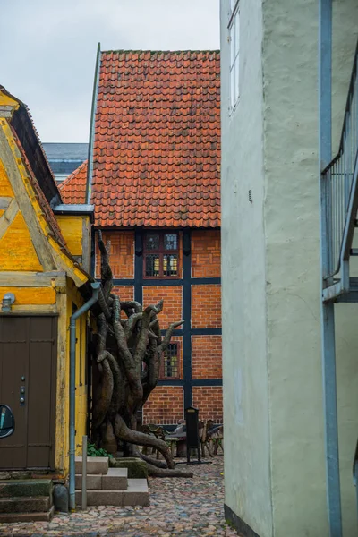 Odense, Denmark: Unusual entrance from the table and tree branches