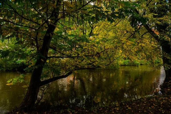 Odendicht, Dänemark: Landschaft mit schönem Teich im Park. — Stockfoto