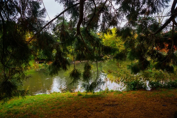 AARHUS, DINAMARCA: Hermoso paisaje Parque en la ciudad — Foto de Stock