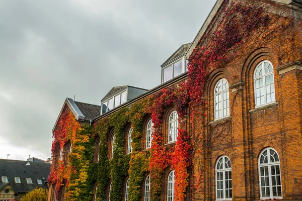 Aalborg, Dinamarca: Encantadoras calles tranquilas con coloridas casas tradicionales danesas en el casco antiguo de Aalborg — Foto de Stock