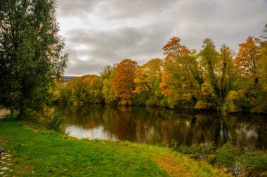 Güzel sonbahar manzarası, Kopenhag Parkı 'ndaki suya yansıyan ağaçlar. Danimarka, Kopenhag