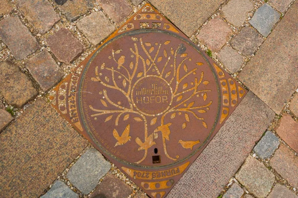 Copenhagen, Danimarca: tombino di Copenhagen. Insolito tombino sulla strada della città — Foto Stock