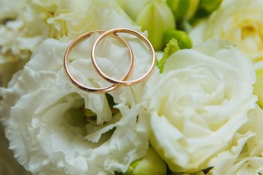 Sevgililer Günü. Düğün için. Güzel alyanslar ve bir buket beyaz gül.