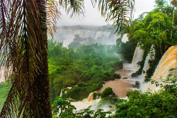 Argentina, Amerika, Vattenfall, Iguazu Falls: Vackert landskap — Stockfoto