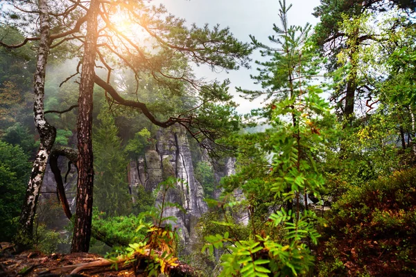 Národní park Saské Švýcarsko, Německo: Pohled z perspektivy — Stock fotografie