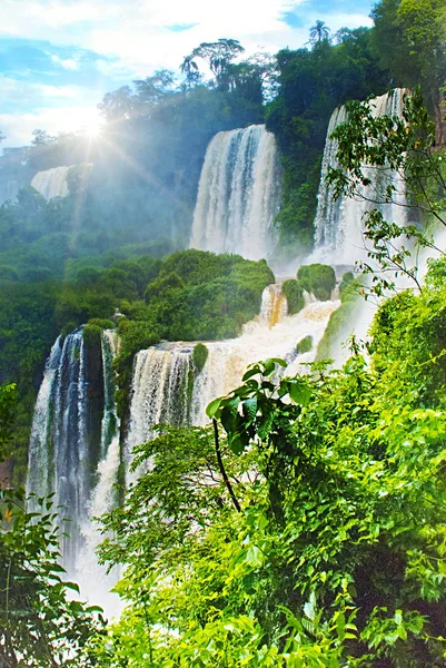 ARGENTINE, IGUAZU : Point de vue béatifique des chutes d'Iguazu, Peurto Iguazu Argentine. Patrimoine mondial de l'UNESCO . — Photo