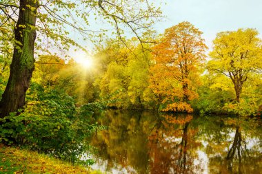 Kopenhag, Danimarka - Ekim 2019: Güzel sonbahar manzarası