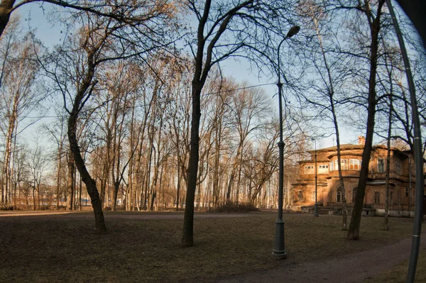 Russia Saint Petersburg February 2014 Landscape Beautiful View Old Wooden — 图库照片