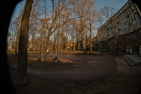 Russia Saint Petersburg February 2014 Landscape Beautiful View Old Wooden — Stock Photo, Image