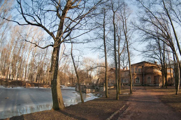 Russia Saint Petersburg February 2014 Landscape Beautiful View Old Wooden — стокове фото