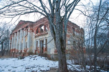 LENINGRAD REGION, RUSSIA - MARCH 9, 2014: view of the destroyed old buildings on the territory of the Blumentrostov and von Gersdorff estate in Kummolovo in cloudy weather