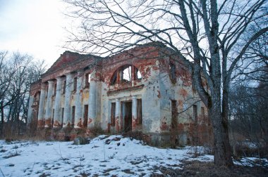 LENINGRAD REGION, RUSSIA - MARCH 9, 2014: view of the destroyed old buildings on the territory of the Blumentrostov and von Gersdorff estate in Kummolovo in cloudy weather
