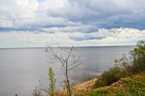 Leningrad Region Russia View Beautiful Landscape Early Spring — стокове фото