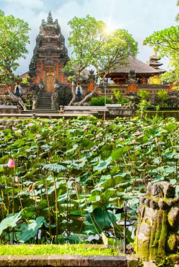 Ubud, Bali, Endonezya - Nisan 2017: Çok güzel tapınak Lotus, Saraswati Tapınağı Ubud, Bali