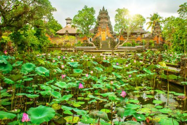 Çok güzel tapınak Lotus, Saraswati Tapınağı Ubud, Bali Sunrise adlı