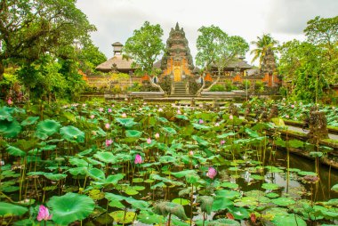 Ubud, Bali, Endonezya - Nisan 2017: Çok güzel tapınak Lotus, Saraswati Tapınağı Ubud, Bali